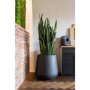 Pottery Pots Natural Pax ronde plantenbak zwart